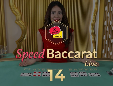 Speed Baccarat 14